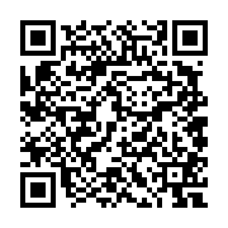 QR code for TLV4013