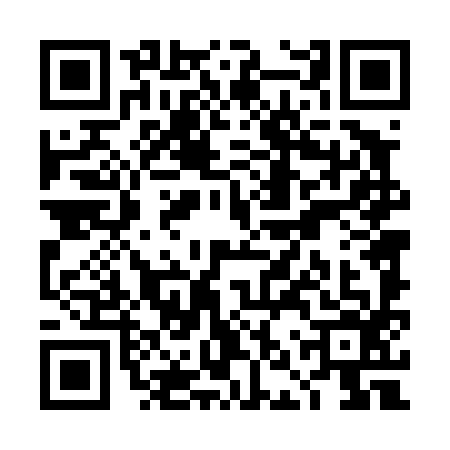 QR code for TNT4966
