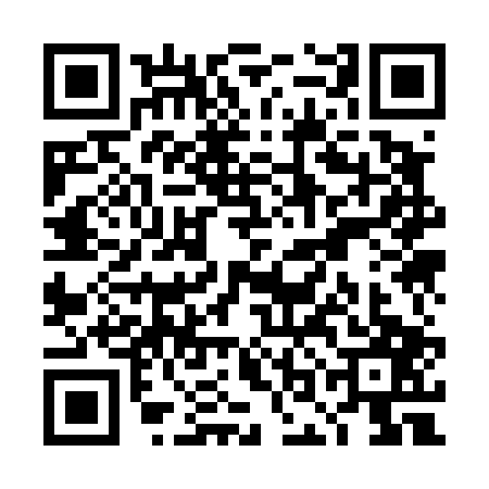 QR code for TOK4079