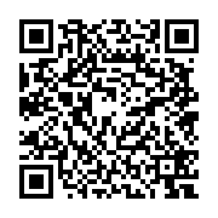 QR code for TOP4299