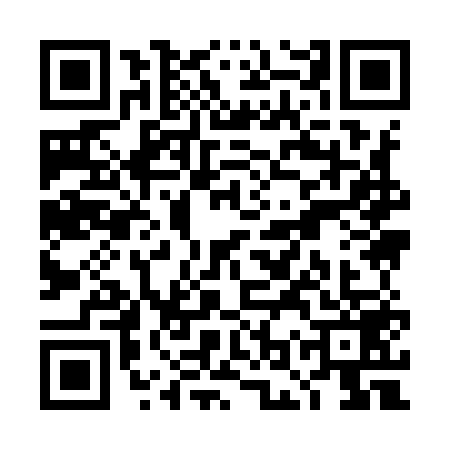 QR code for TOY9591
