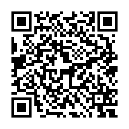 QR code for TPA6250