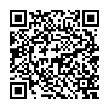 QR code for TPO6133
