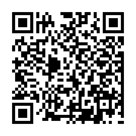 QR code for TRS2991