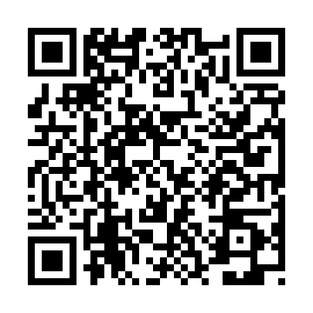 QR code for TSE4005