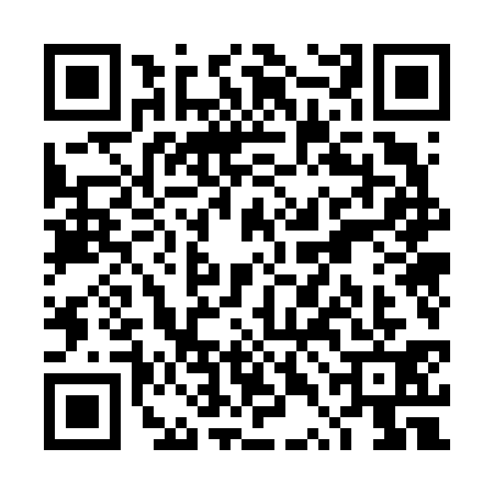 QR code for TTO6313
