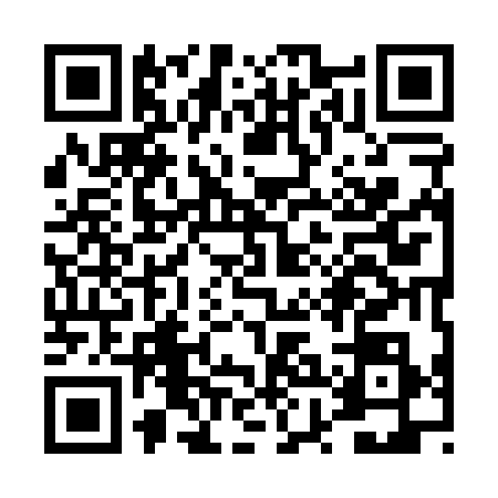 QR code for TXI0383
