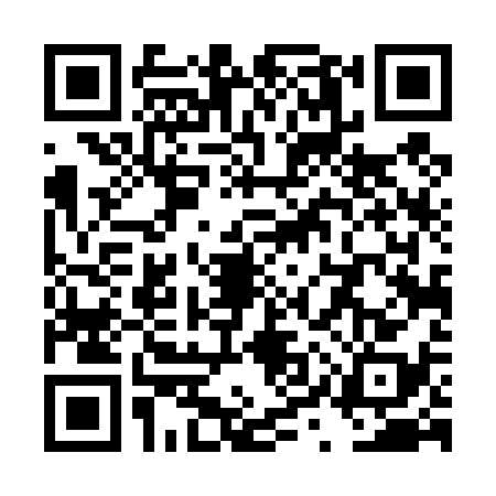 QR code for TYT4383