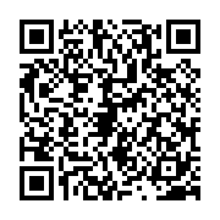 QR code for TYZ0303