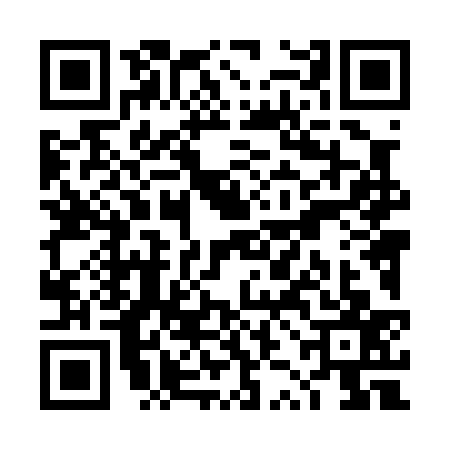 QR code for TZL0370