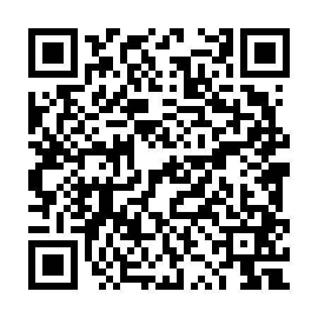QR code for TZL6413