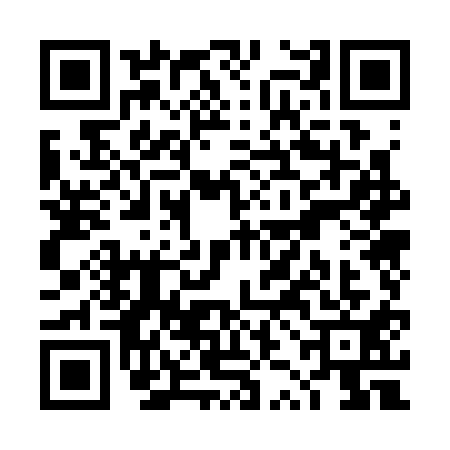 QR code for TZO3111