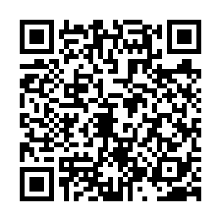 QR code for TZY6381