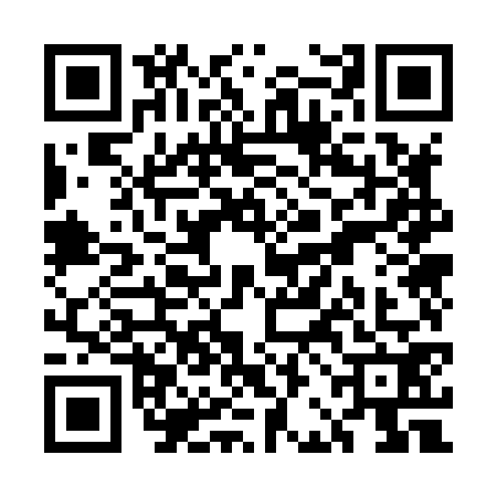 QR code for UBO8729