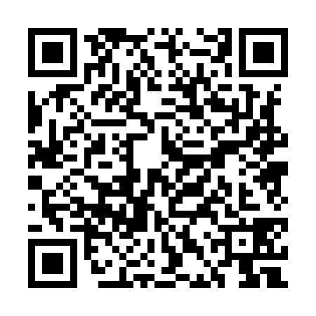 QR code for UDP9385