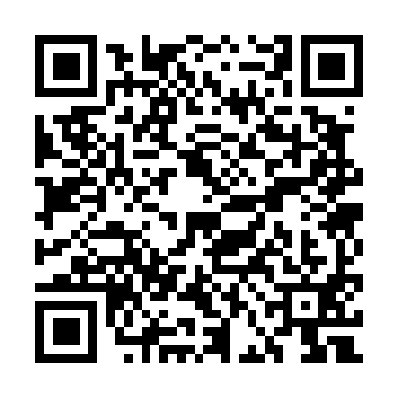 QR code for UFC4919