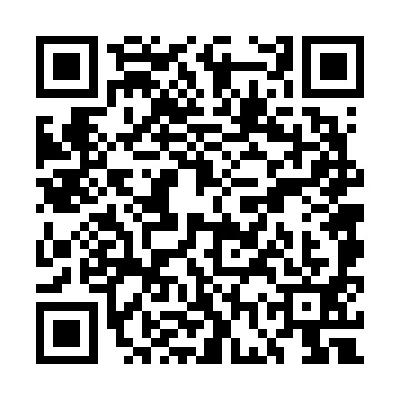 QR code for UGV6919