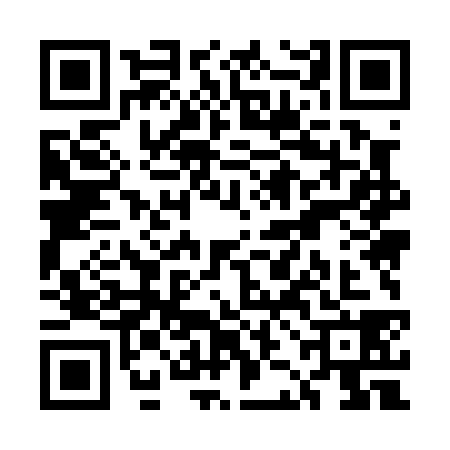 QR code for UJM0381