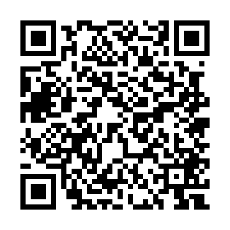 QR code for UNU0491