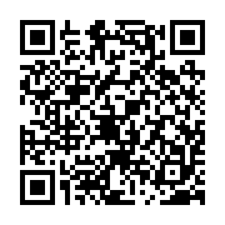 QR code for UPA2924