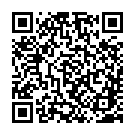 QR code for US29DC