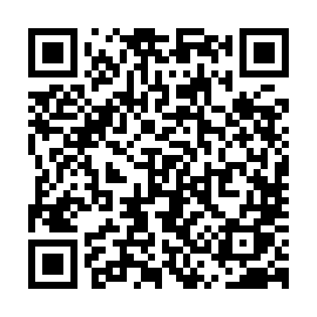 QR code for US29LQ