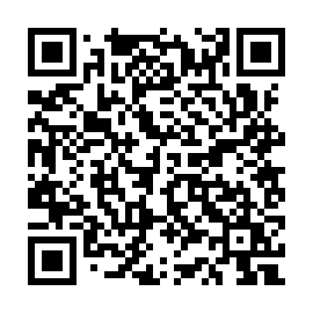 QR code for US29ZU