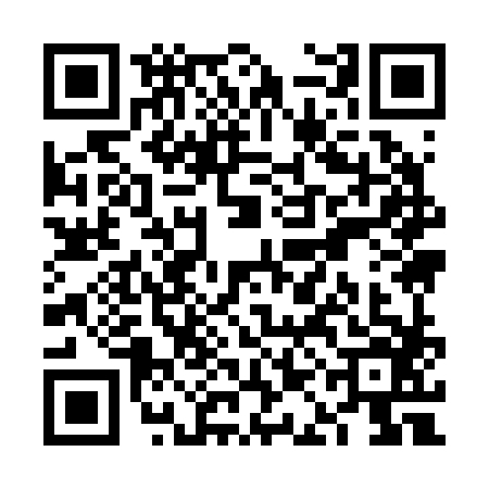 QR code for VAI2869