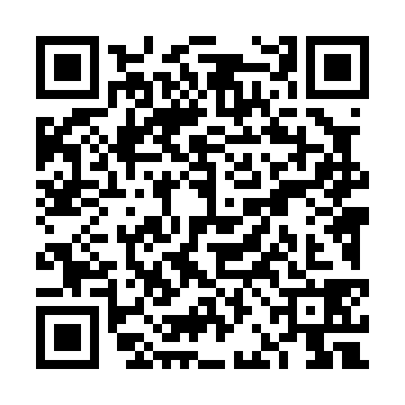 QR code for VBL0382