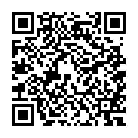 QR code for VDG3818