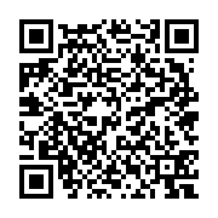 QR code for VEE6313