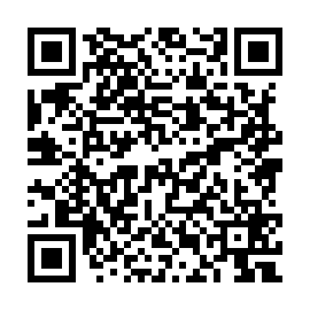 QR code for VEH9699