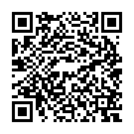 QR code for VEO2027