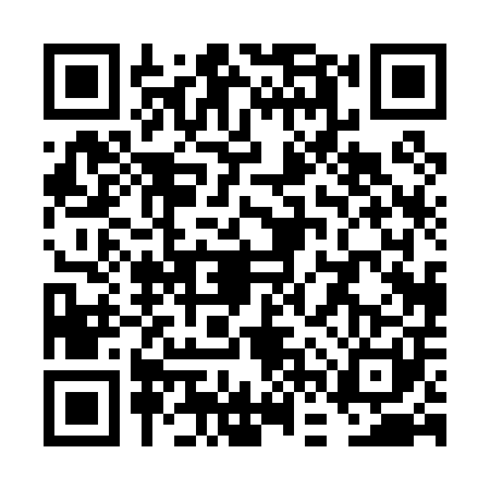 QR code for VFP0010