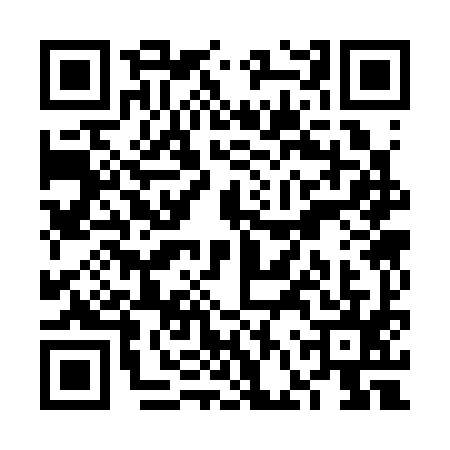 QR code for VFS3953