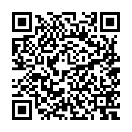 QR code for VIG9596