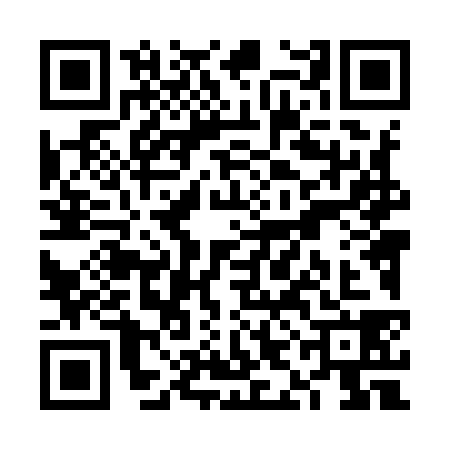 QR code for VIL9384
