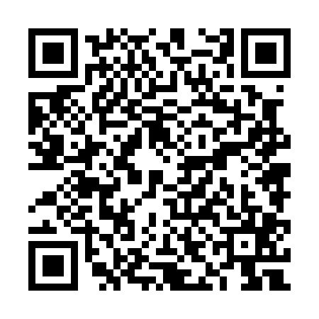 QR code for VIN0051