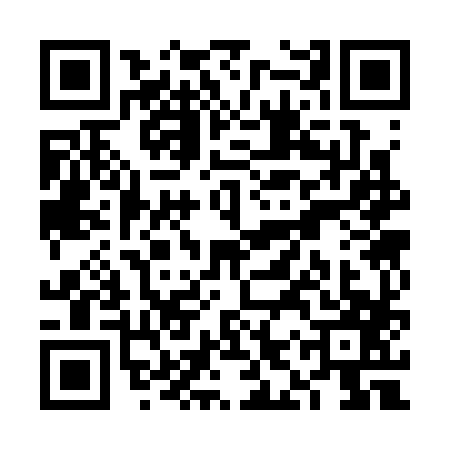 QR code for VIS3875