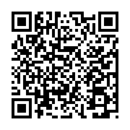 QR code for VIV6541