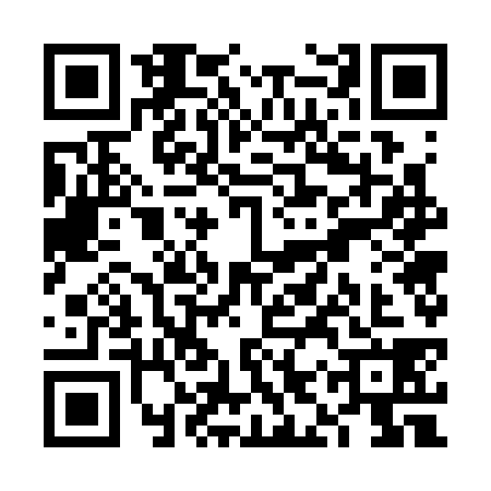 QR code for VIW3381