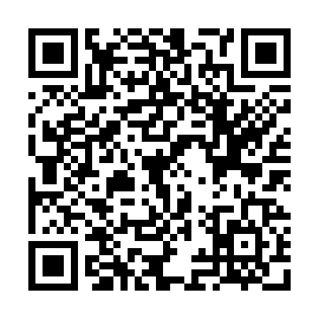 QR code for VIZ3246
