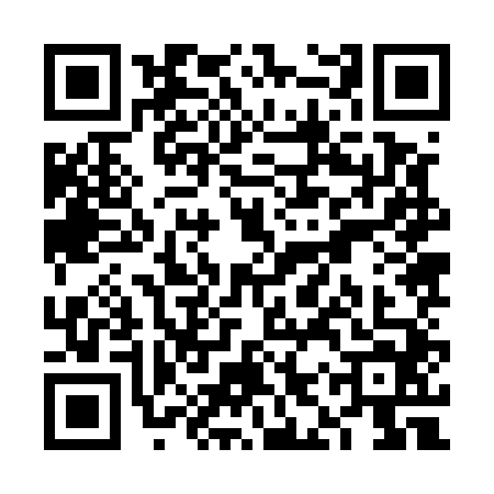 QR code for VIZ5447