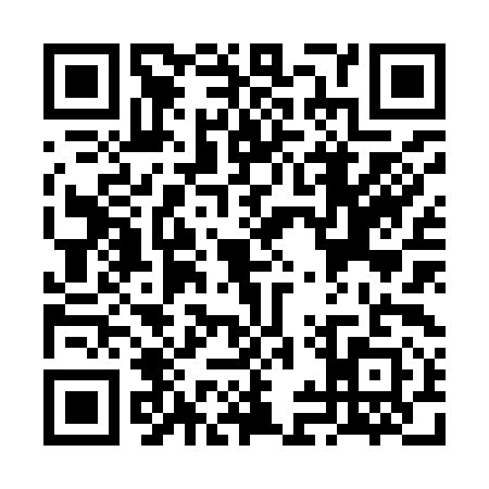 QR code for VIZ9917