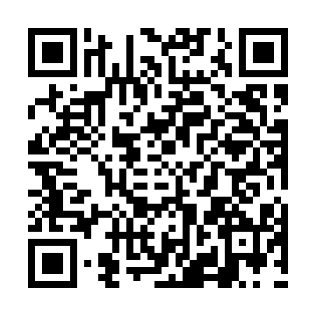 QR code for VJL0100
