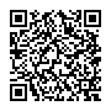 QR code for VLQ4919