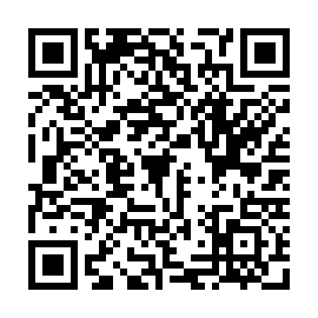 QR code for VLV3333