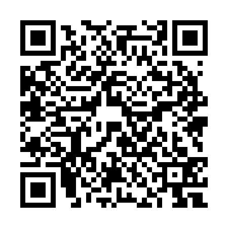 QR code for VNM2339
