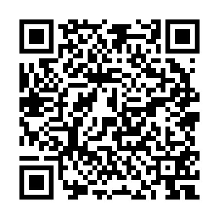 QR code for VNM2513