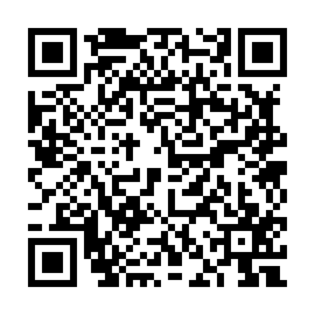 QR code for VNS8176